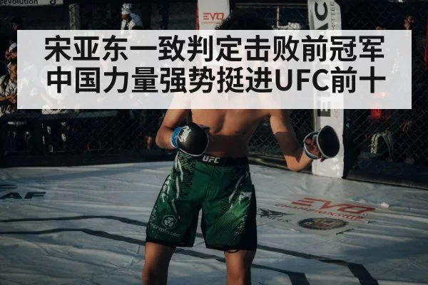 宋亚东一致判定击败前冠军 中国力量强势挺进UFC前十