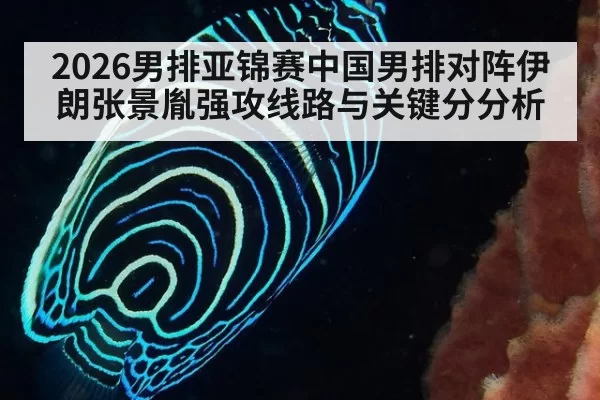 2026男排亚锦赛中国男排对阵伊朗张景胤强攻线路与关键分分析